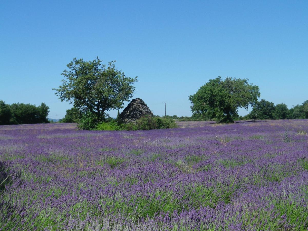La Mordoree La Motte-d'Aigues Bagian luar foto